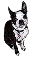 Terrierworks